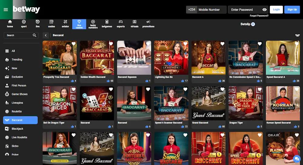 Beginner's Guide Baccarat Screenshot